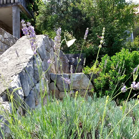 Busurelo Vendégház 3*